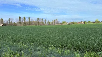 Finca rústica en venta en Casetas-Garrapinillos-Monzalbarba, Casetas-Garrapinillos-Monzalbarba (Zaragoza Capital) de 95.000 €
