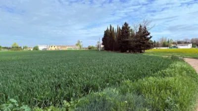 Finca rústica en venta en Casetas-Garrapinillos-Monzalbarba, Casetas-Garrapinillos-Monzalbarba (Zaragoza Capital) de 95.000 €