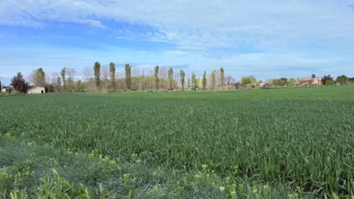 Finca rústica en venta en Casetas-Garrapinillos-Monzalbarba, Casetas-Garrapinillos-Monzalbarba (Zaragoza Capital) de 95.000 €
