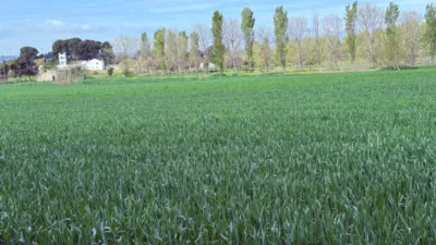 Finca rústica en venta en Casetas-Garrapinillos-Monzalbarba, Casetas-Garrapinillos-Monzalbarba (Zaragoza Capital) de 95.000 €