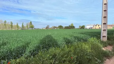 Finca rústica en venta en Casetas-Garrapinillos-Monzalbarba, Casetas-Garrapinillos-Monzalbarba (Zaragoza Capital) de 95.000 €