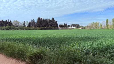 Finca rústica en venta en Casetas-Garrapinillos-Monzalbarba, Casetas-Garrapinillos-Monzalbarba (Zaragoza Capital) de 95.000 €