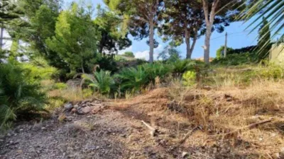 Terreno en venta en Escandinàvia-El Captivador - Vista 3