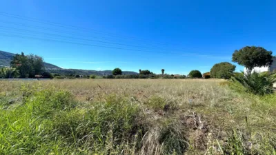 Terreno en venta en La Pedrera-Vessanes - Vista 4