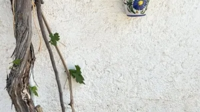Finca rústica en alquiler en Cantoria, Cantoria de 500 €<span>/mes</span>