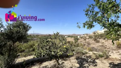 Finca rústica en alquiler en Cantoria, Cantoria de 500 €<span>/mes</span>