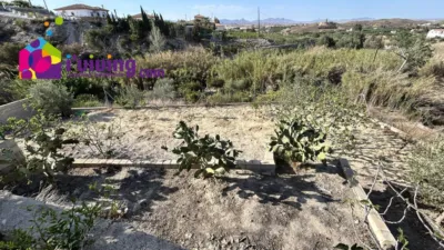 Finca rústica en alquiler en Cantoria, Cantoria de 500 €<span>/mes</span>