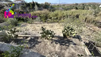 Finca rústica en alquiler en Cantoria, Cantoria de 500 €<span>/mes</span>