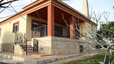 Finca rústica en Algorfa photo 20