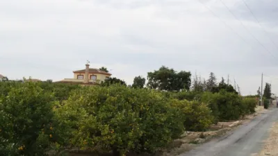 Finca rústica en Algorfa photo 29