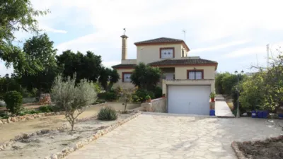 Finca rústica en Algorfa photo 9