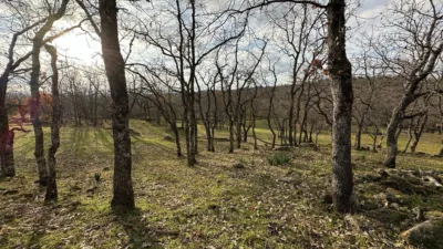 Rustic Finca in Malpartida de Plasencia photo 3