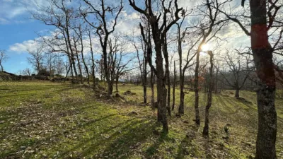 Rustic Finca in Malpartida de Plasencia photo 4