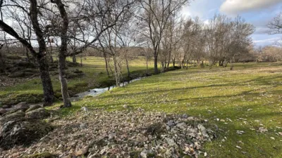 Rustic Finca in Malpartida de Plasencia photo 8