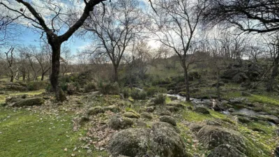 Rustic Finca in Malpartida de Plasencia photo 9