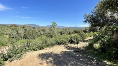 Finca rústica en venta en Malpartida de Plasencia - Vista 4
