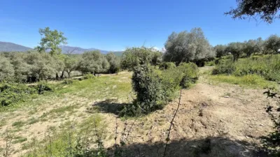 Finca rústica en venta en Malpartida de Plasencia - Vista 5