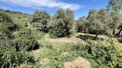 Finca rústica en venta en Malpartida de Plasencia - Vista 6