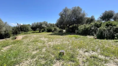 Finca rústica en venta en Malpartida de Plasencia - Más