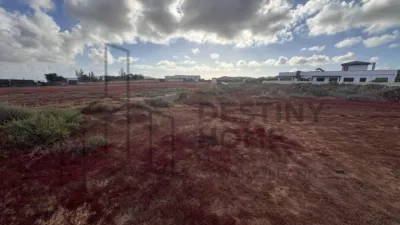 Rustic Finca in La Oliva photo 10