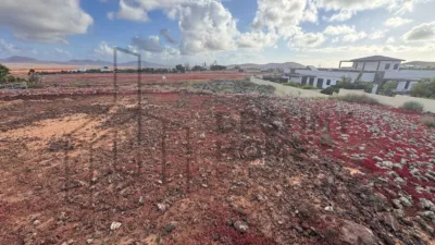 Rustic Finca in La Oliva photo 15