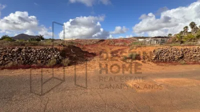 Rustic Finca in La Oliva photo 24