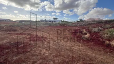 Rustic Finca in La Oliva photo 9
