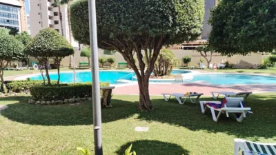 Apartment in Poble de Llevant photo 14