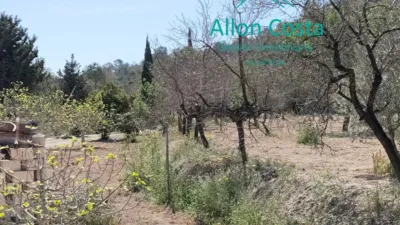 Casa – la Vila Joiosa / Villajoyosa, la Torreta - Vista 5