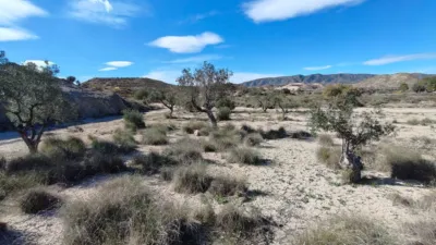 Casa – Elda - Más