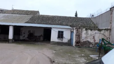 Miniatura 7
