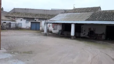 Miniatura 8
