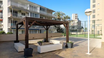 Apartment in Playa de San Juan photo 24