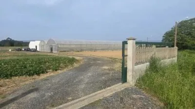 Rustic farm in Parroquias