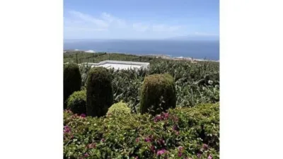 Chalet on Cam. Street, Finca Chigora photo 10