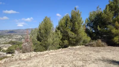 Rustic Finca in Benissa Pueblo photo 18
