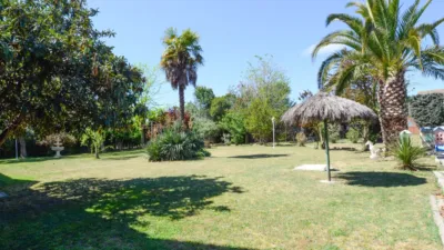 Chalet en La Raya del Palancar-Guadamonte photo 5