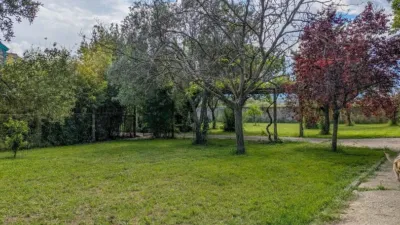 Rustic farm in Lodosa photo 5