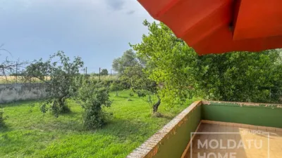 Rustic farm in Lodosa photo 79