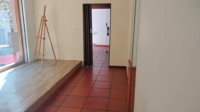 Miniatura 12