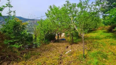 Chalet in A Fenteira (Boboras) photo 34