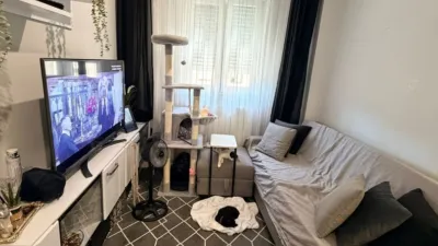 Apartment in Txurdinaga photo 16