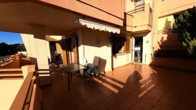 Apartment in Golf Bahía Urbanization photo 25