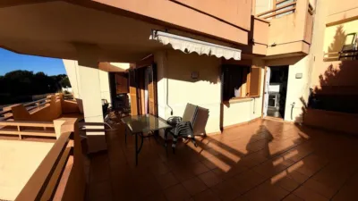 Apartment in Golf Bahía Urbanization photo 29