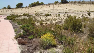 Terreno en venta en Urbanizaciones Balcó de Finestrat-Terra Marina - Más