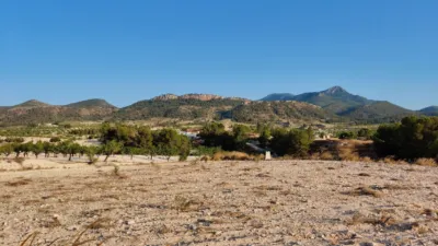 Rustic finca in Jumilla photo 10