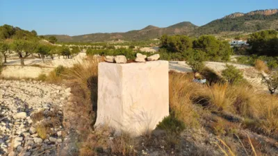 Rustic finca in Jumilla photo 14