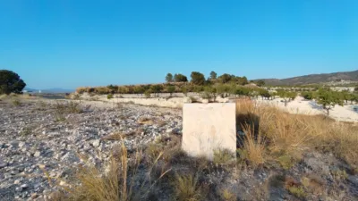 Rustic finca in Jumilla photo 15