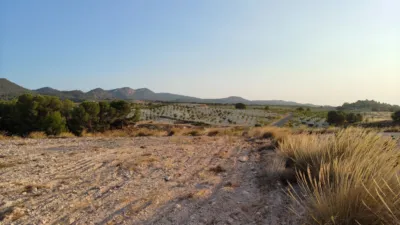 Rustic finca in Jumilla photo 2