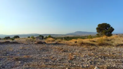 Rustic finca in Jumilla photo 33